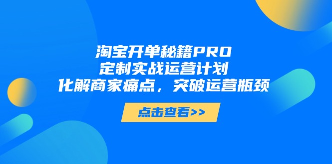 淘宝开单秘籍PRO,定制实战运营计划,化解商家痛点,突破运营瓶颈-极光网创