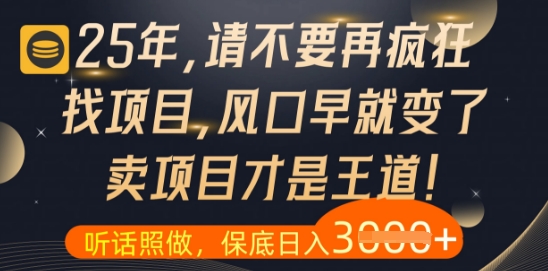 什么?25年你还在疯狂找项目做,醒醒吧,看完这些你全都懂了【揭秘】-极光网创