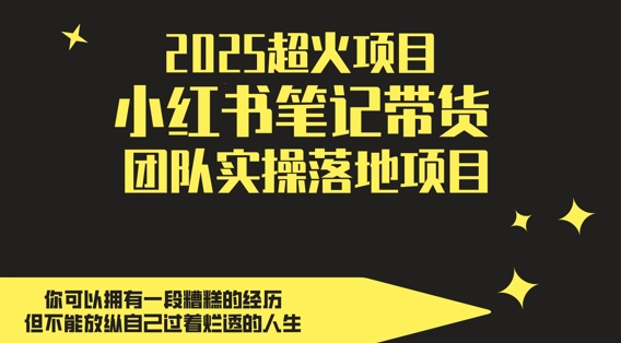 2025超火项目，副业最佳选择，小红书笔记带货团队实操落地项目，，轻松日入5张-极光网创