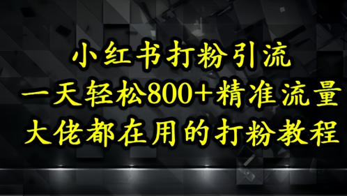 小红书打粉引流,一天轻松500+精准流量,大佬都在用的打粉教程-极光网创