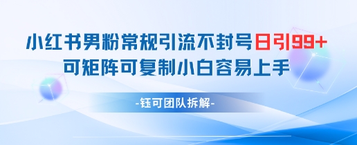 小红书男粉常规引流不封号日引99+变现简单 可矩阵可复制小白容易上手-极光网创