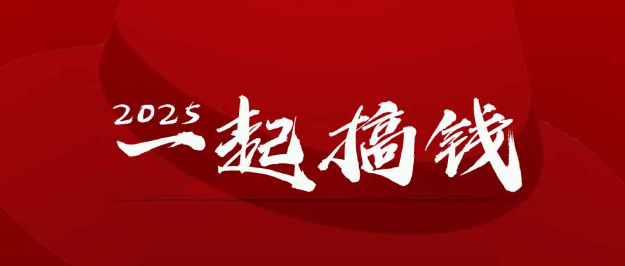 2025年，请“不择手段”去搞钱!-极光网创