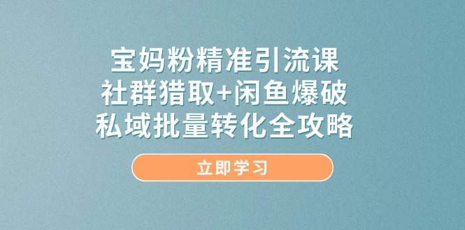 宝妈粉精准引流课,社群猎取+闲鱼爆破,私域批量转化全攻略-极光网创