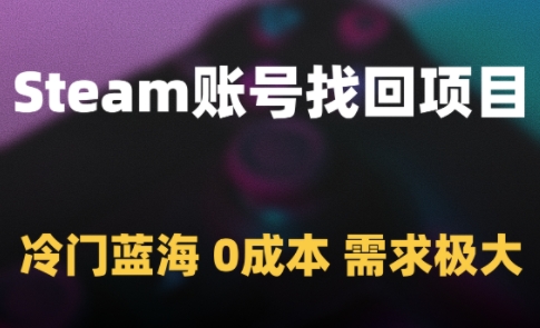 Steam账号找回项目，冷门蓝海，0成本，需求极大-极光网创