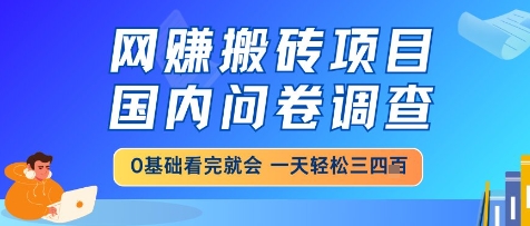 网创搬砖项目，国内问卷调查，小白轻松上手，一天三四张的也不难，干就完了【揭秘】-极光网创