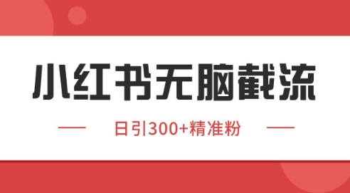 小红书截流同行客源，独家野路子获客玩法 日引200+暴力获客【揭秘】-极光网创