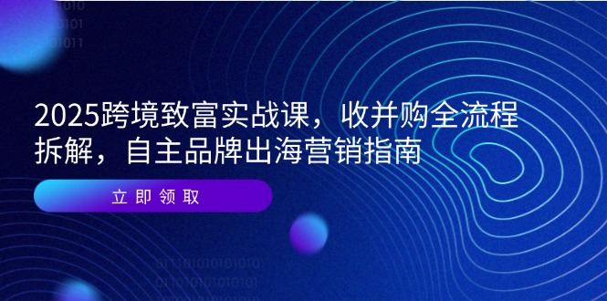 2025跨境致富实战课，收并购全流程拆解，自主品牌出海营销指南-极光网创
