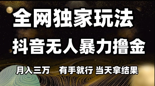全网独家玩法抖音无人暴力撸金，月入3W，有手就行，当天拿结果【揭秘】-极光网创