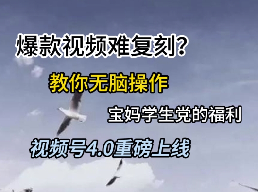 视频号4.0重磅上线，爆款视频难复刻？教你无脑操作宝妈学生党的福利【揭秘】-极光网创