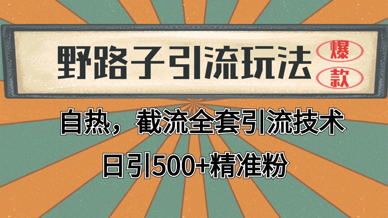 2024首发野路子引流玩法截流自热全平台打法，全自动引流【日引2000+精准客户】-极光网创