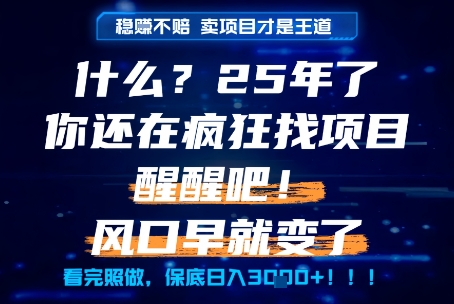 什么？25年你还在疯狂找项目做，醒醒吧，看完这些你全都懂了！【揭秘】-极光网创