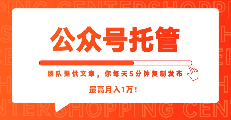 【公众号托管 】我提供文章，你每天５分钟复制发布，最高月入1W-极光网创