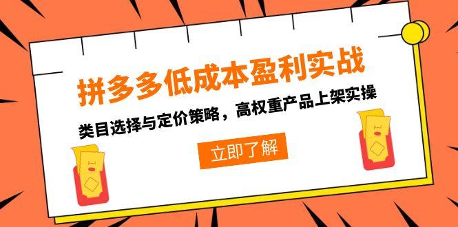 拼多多低成本盈利实战，类目选择与定价策略，高权重产品上架实操-极光网创