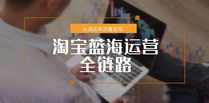 淘宝蓝海运营全链路，从选品到流量变现，小类目突围完整方案-极光网创