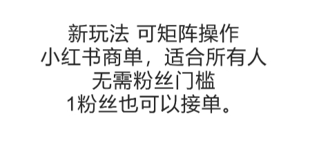 可矩阵操作，小红书商单新玩法，适合所有人，无需粉丝门槛，1粉丝也可以接单-极光网创