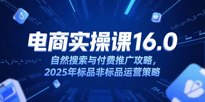 淘宝电商运营课16.0，自然搜索与付费推广攻略，2025年标品非标品运营策略-极光网创
