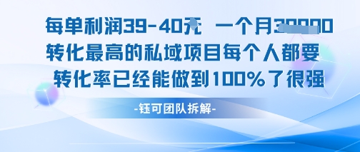 每单利润40一个月7k+转化最高的私域项目，每个人都要的产品转化率已经能做到100%-极光网创
