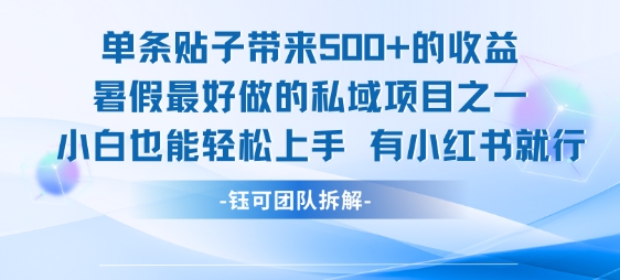 单条贴子带来5张的收益，暑假最好做的私域项目之一，小白也能轻松上手，有小红书就行-极光网创