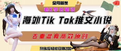 海外tiktok小说推文暴力项目，高停留率，高转化率，上手后一天搞顿饭钱不是问题-极光网创