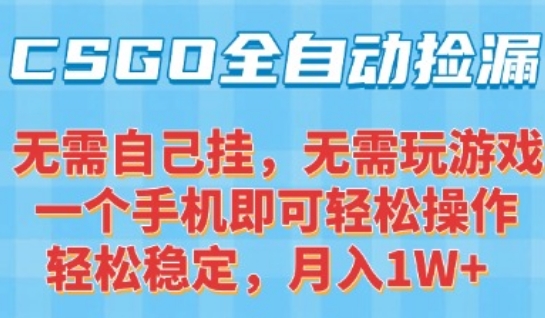 CSGO自动捡漏项目，最新独家玩法，一个手机可操作，新手小白轻松月入1W+，操作简单易上手【揭秘】-极光网创
