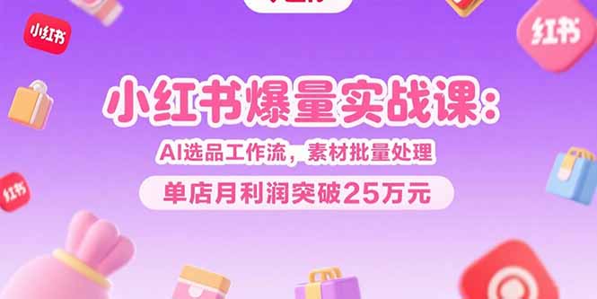 小红书爆量实战课：AI选品工作流，素材批量处理，单店月利润突破25万元-极光网创