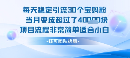 每天稳定引流30个人 当月变成超过了4个W项目流程非常简单适合小白-极光网创