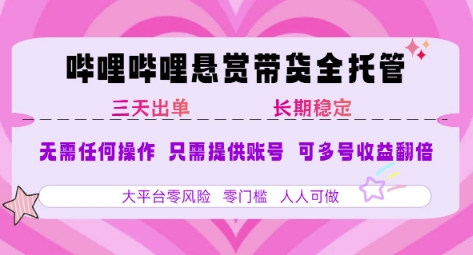 2025年B站风口带货项目 仅需提供账号 全程托管 轻松月入1w+-极光网创
