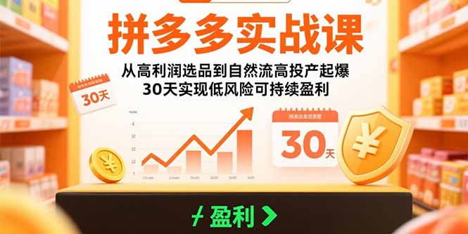拼多多实战课：从高利润选品到自然流高投产起爆 30天实现低风险可持续盈利-极光网创