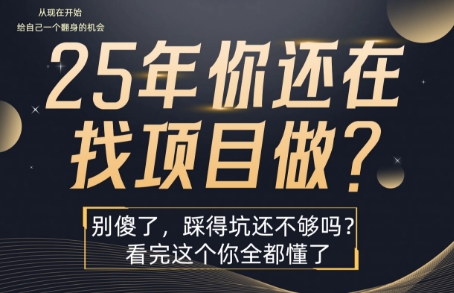 25年，你还在疯狂的找项目吗？别傻了，看完这个你都懂了【揭秘】-极光网创