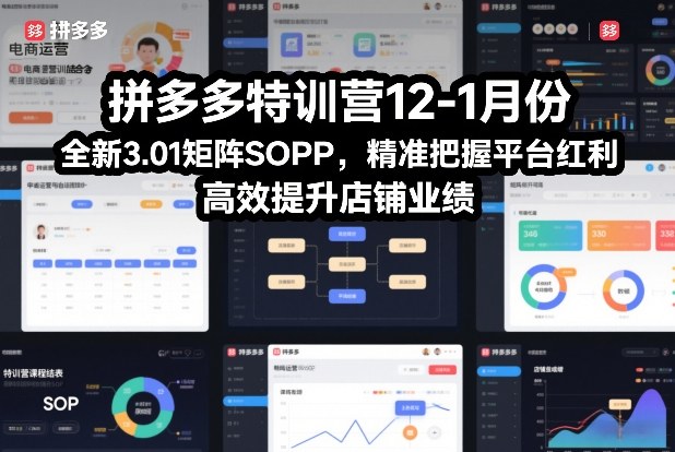 拼多多特训营12-1月份,全新3.01矩阵Sop,精准把握平台红利,高效提升店铺业绩-极光网创