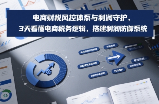 电商财税风控体系与利润守护，3天看懂电商税务逻辑，搭建利润防御系统-极光网创