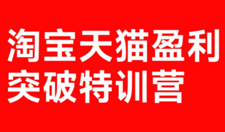 玺承·淘宝天猫盈利突破特训营(25年12月线下课)【音频+字幕】-极光网创