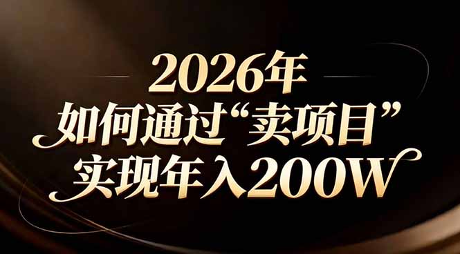 站在2026年的十字路口：一个普通人如何通过卖项目实现年入200万-极光网创