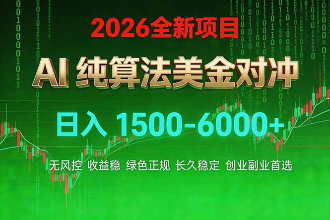 2026 全新美金对冲项目，不套平台赠金，不封号，纯算法对冲，日入 1500-6000+-极光网创