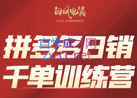 白凤电商·拼多多日销千单训练营(更新2月)-极光网创