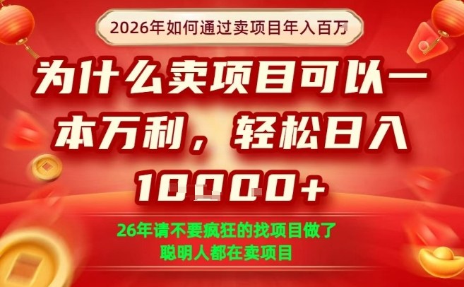 一单净利润1K+，26年想年入100个W，死磕卖项目就够了【揭秘】-极光网创