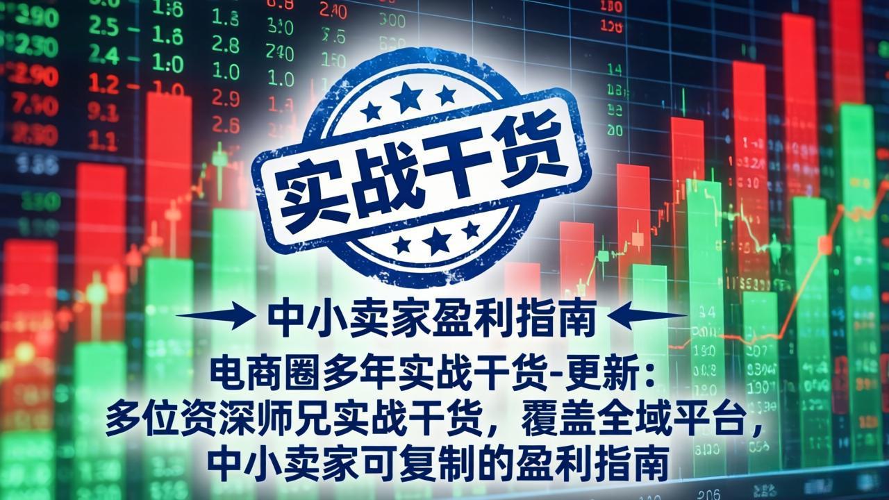 电商圈多年实战干货-更新4月:多位资深师兄实战干货,覆盖全域平台,中小卖家可复制的盈利指南-极光网创